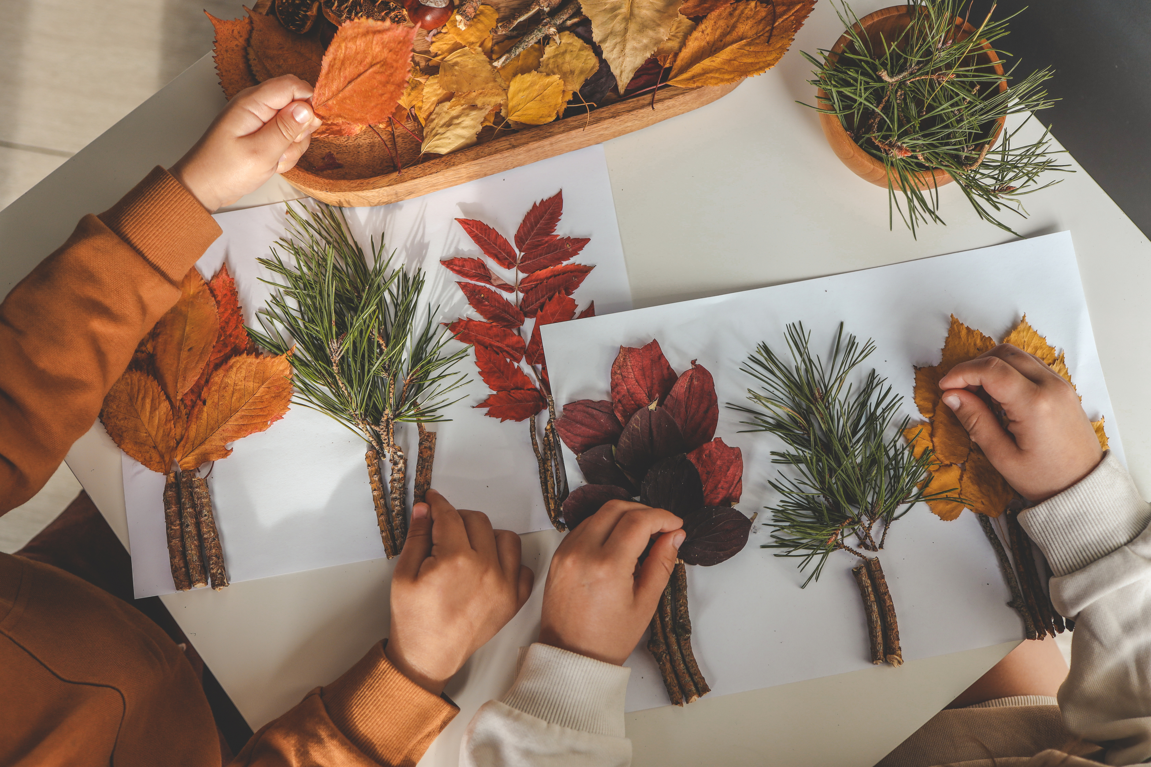 Estimulación Interactiva Cognitiva