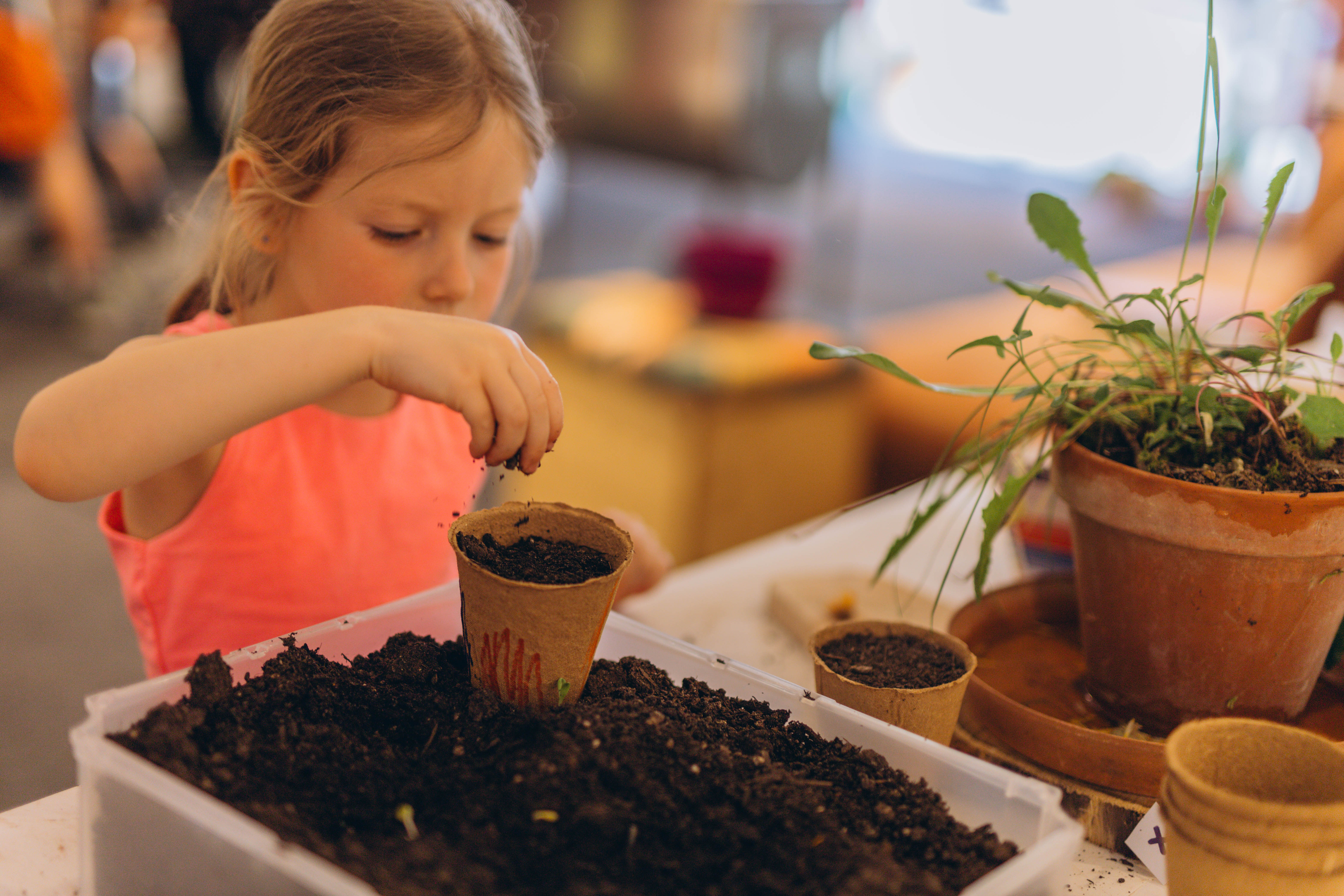 Propuestas sensoriales